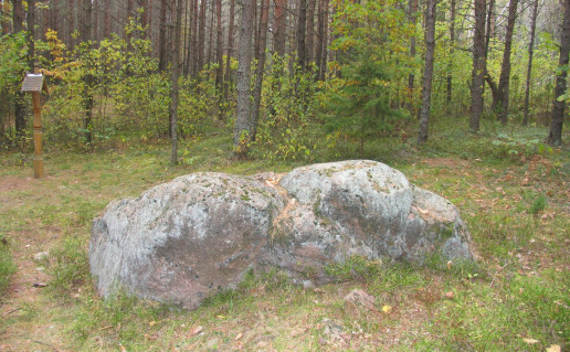 6_Šaltinių (Žižmų) akmuo.jpg